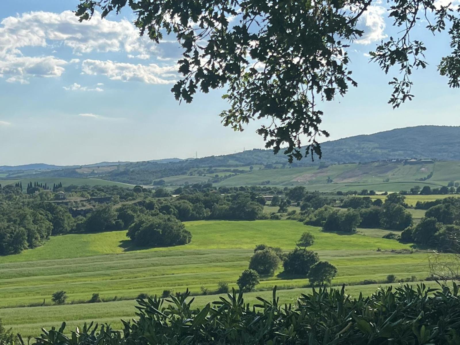 Agriturismo La Castellina サトゥルニア エクステリア 写真