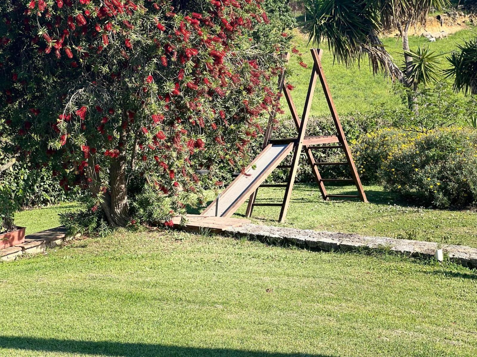 Agriturismo La Castellina サトゥルニア エクステリア 写真