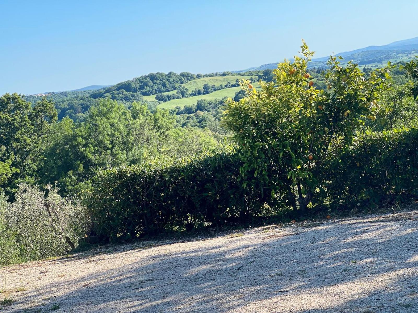 Agriturismo La Castellina サトゥルニア エクステリア 写真