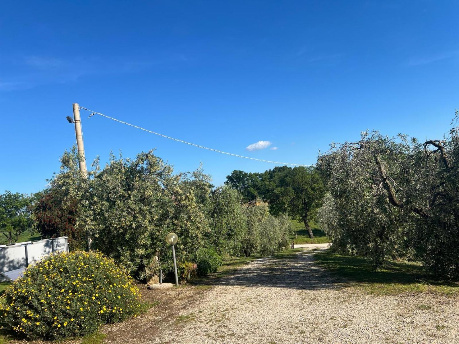 Agriturismo La Castellina サトゥルニア エクステリア 写真